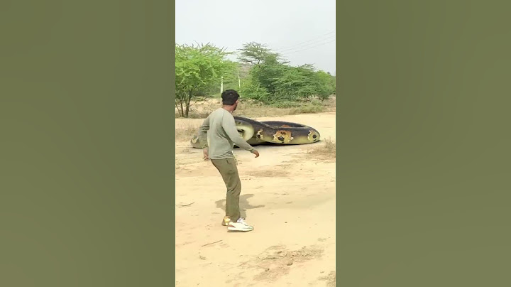 Big Anaconda Chasing Part 2 #shorts #snake #anaconda #nagin #anacondasnake