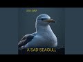 A sad seagull