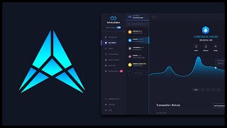 Infinity Wallet Review (Beta)