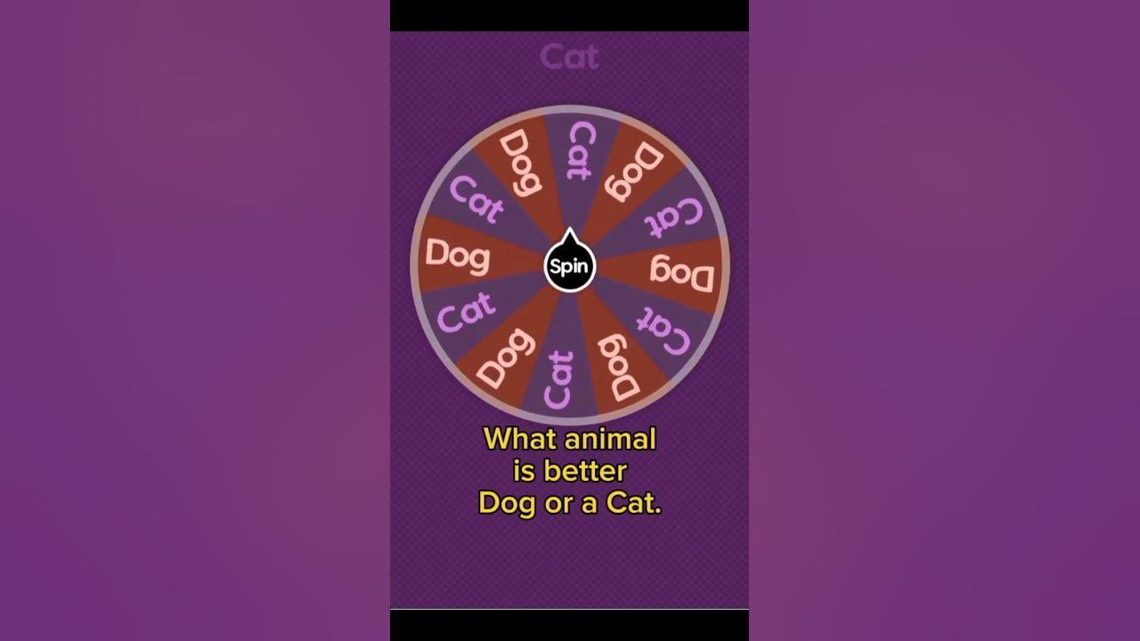 what-animal-is-better-dog-or-a-cat-youtube