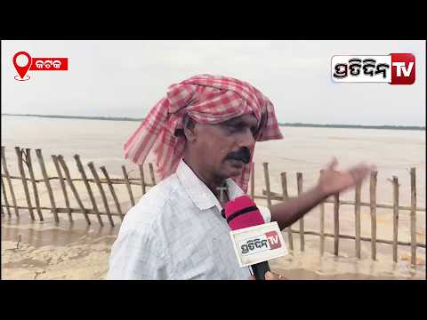 ଗୁଆଳି ଗାଁ ଭିତରକୁ ନଦୀ ପାଣି ମାଡ଼ି ଆସିଲେ , ଗାଁ ସମୁଦ୍ରରେ ମିଶିବ !  Flood Water Enters Farmland ,Cuttack