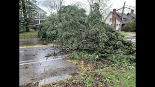 Severe storms strike Michigan, damaging 2 ice arenas, other structures