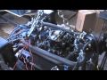 Mercruiser Engine Wiring