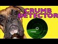 Brock the Boxer Dog: CRUMB DETECTOR!!