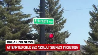 Colorado Springs attempted child sex assault suspect in custody