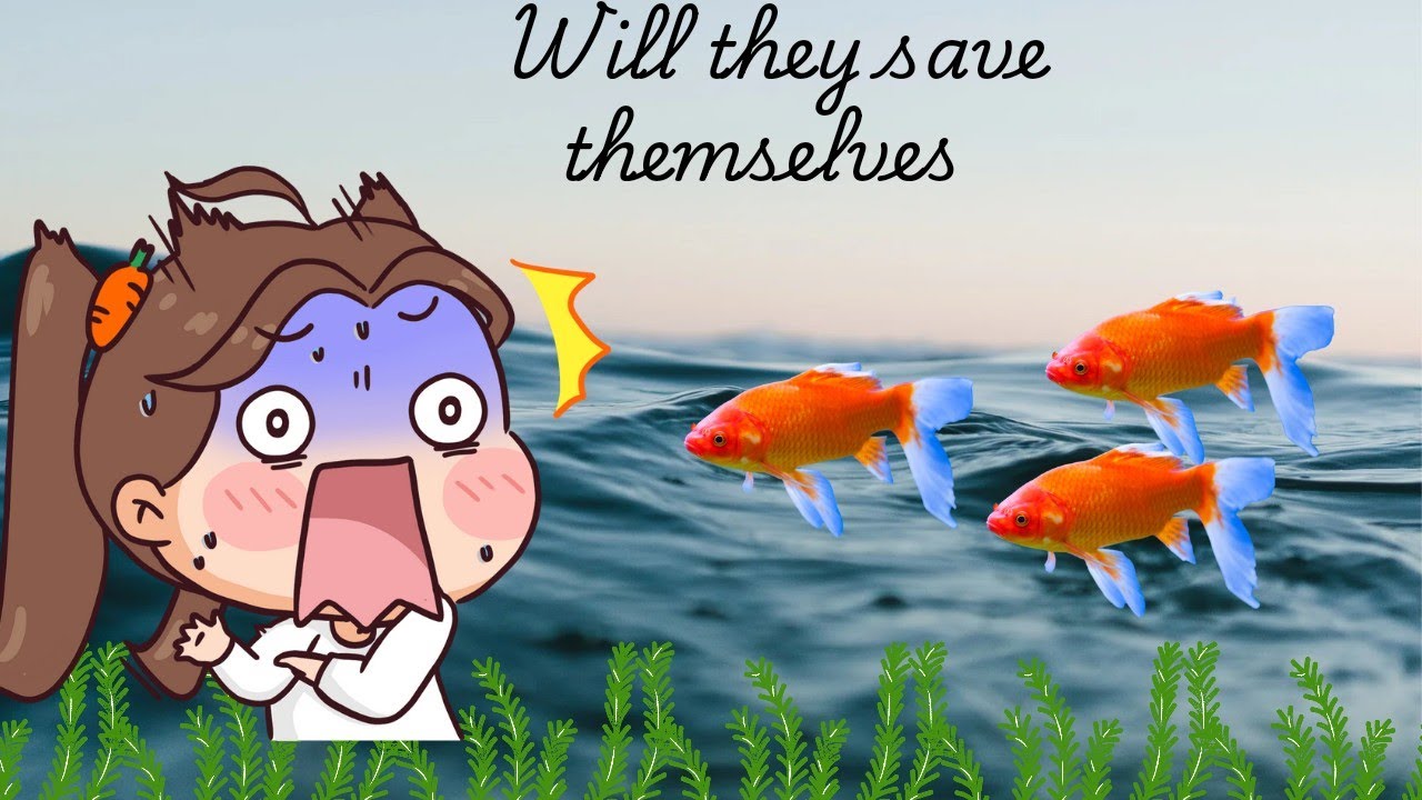 Inspiring Fish Tale: Overcoming challenges with positive Mindset |