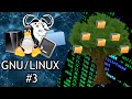 ESTRUCTURA DEL ARBOL DE DIRECTORIOS DE LINUX 💻 | Curso de GNULINUX de CERO a AVANZADO | Cap 3