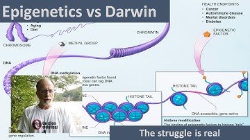 Epigenetics: Darwin is rolling in his grave