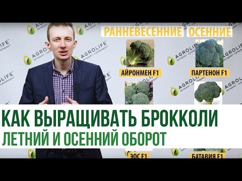 Видео: Посадка семян брокколи Green Magic – Как вырастить брокколи Green Magic