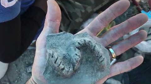 Taino Inna Yaad [full]