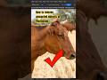 How to remove unwanted objects with photoshop #photoshop #youtubeshorts #shortsfeed #remove #ak