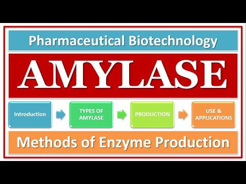 AMYLASE | TYPES OF AMYLASE | BASICS FUNCTION & USE | AMYLASE PRODUCTION BY USING MICROBIAL STRAIN