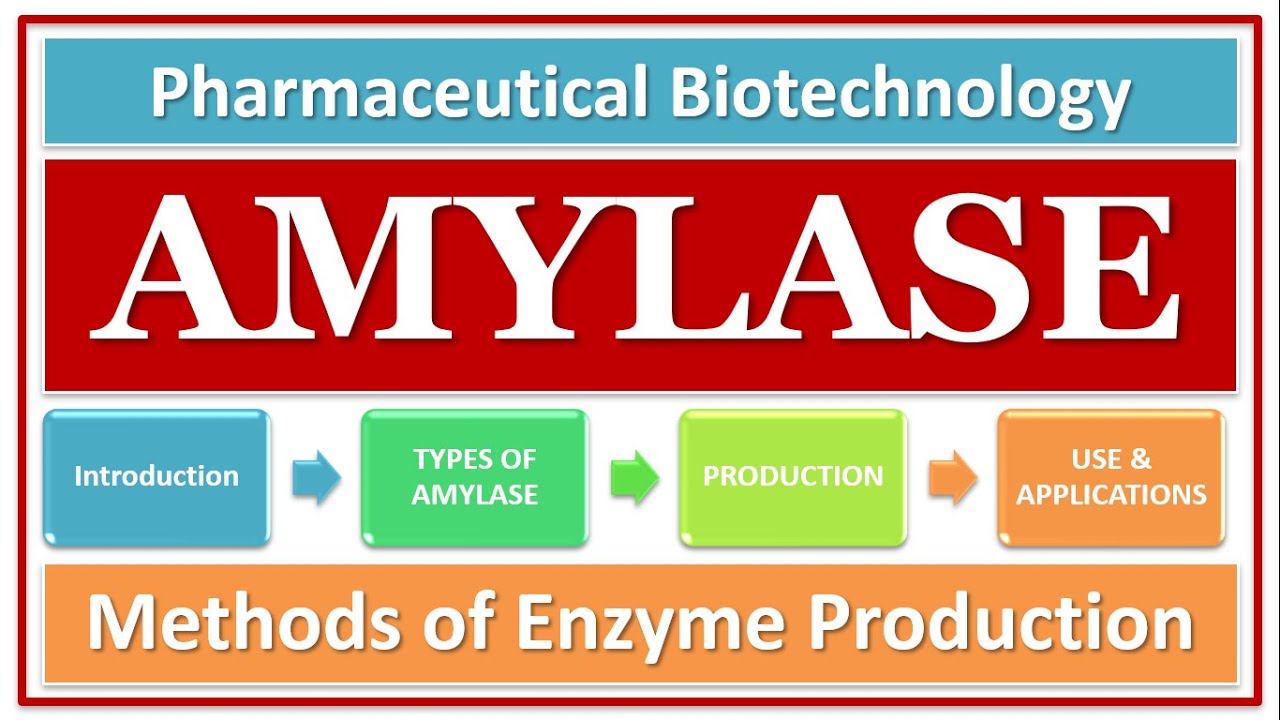 Flow Chart Of Amylase Production