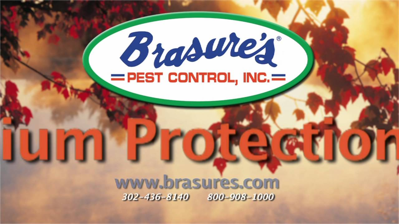 Brasure's Pest Control Premium Protection Plan YouTube