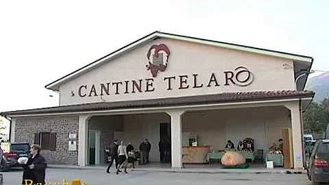 GALLUCCIO: DEGUSTAZIONE TELARO del 18-11-2015
