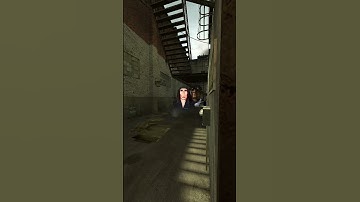 ROSALIA, OBUNGA, THUG OBUNGA AND NIGHTMARE SHAKIRA CHASING NEXTBOTS IN GMOD! #gmod #nextbotchasing