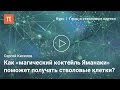 Способы получения плюрипотентных клеток — Сергей Киселев