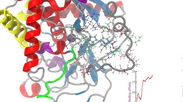 Binding of nitrophenyl psoralen to light chain domain of Botulinum Neurotoxin type A