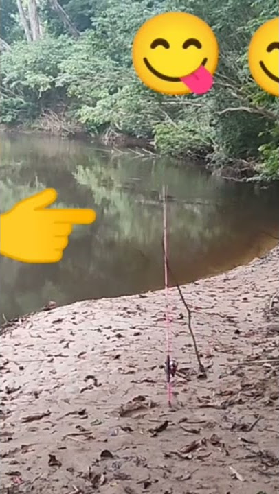 IKAN KELAH MAKAN PANCING.