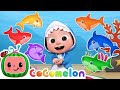 Baby Shark Style Song 🦈 10 Min Kids Song | Ocean Adventure