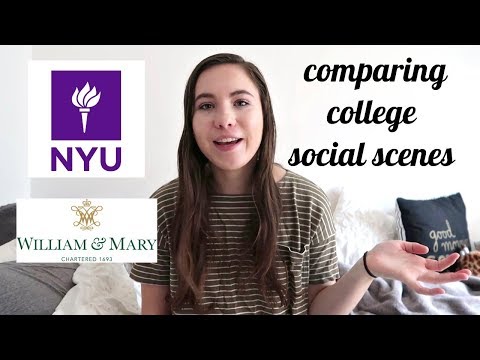 social life at NYU and W&M