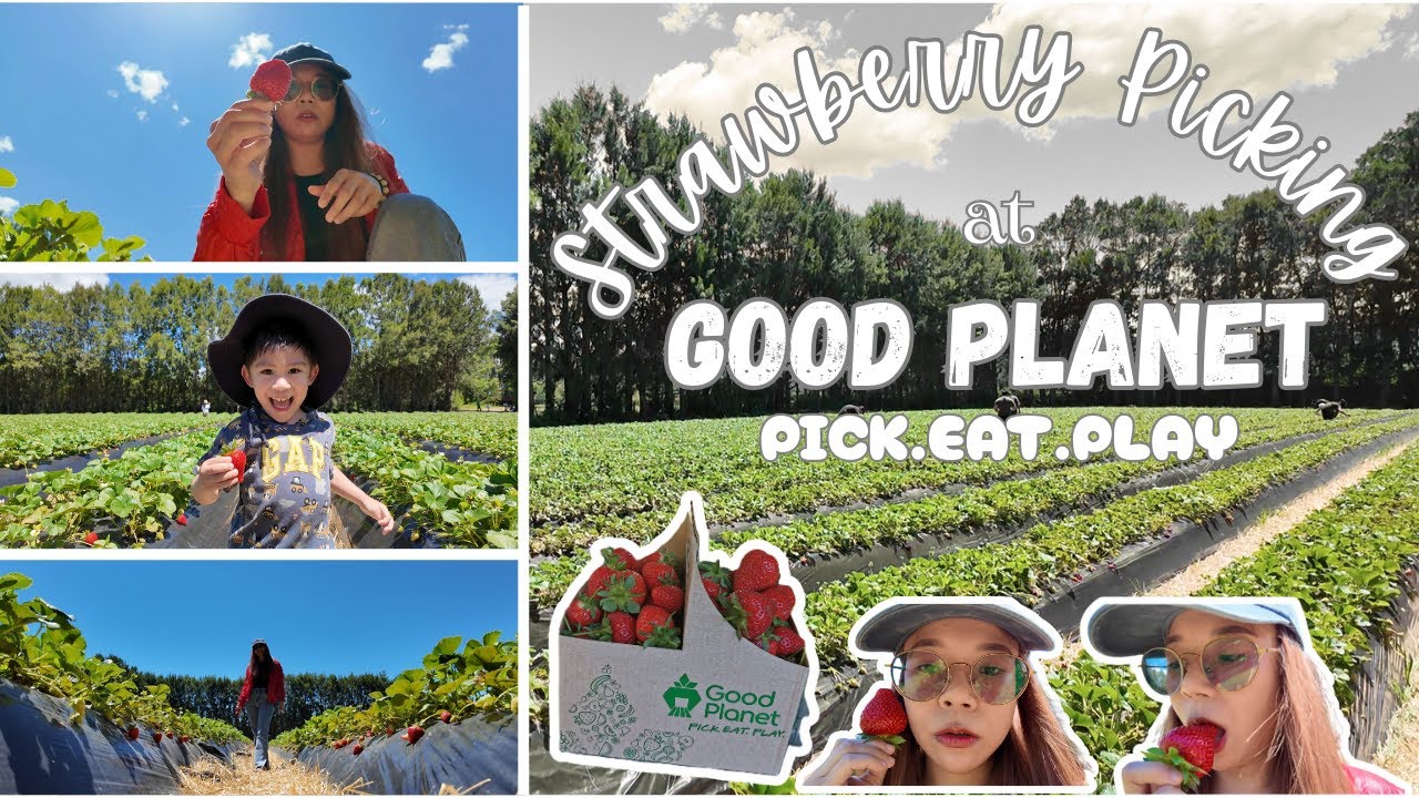 UNLI STRAWBERRIES  | Kate Obsekyu