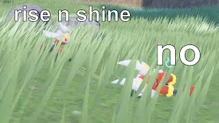 Pokemon Picnic But Its The Scorbunny Evolution Line