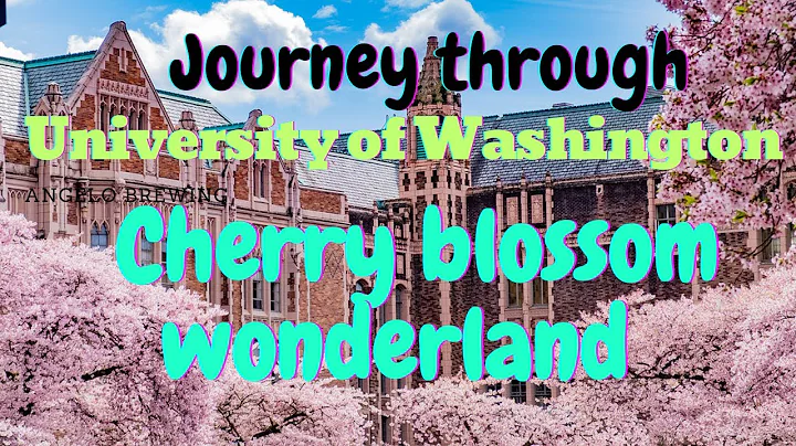 Journey Through University of Washington CHERRY BLOSSOM Wonderland