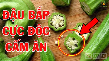 Dừng Ngay Ăn Đậu Bắp Nếu Phát Hiện Điều Này Kẻo HỐI KHÔNG KỊP