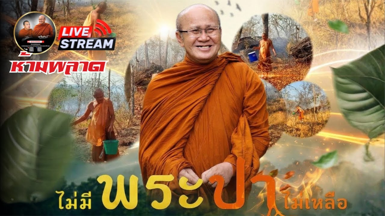 ไม่มีพระ ป่าไม่เหลือ 19.00 น. 02/03/69 #พระสิ้นคิด #หลวงตาสินทรัพย์ ￼