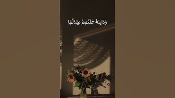 وَدَانِيَةً عَلَيْهِمْ ظِلالُهَا - إذاعة القرآن الكريم