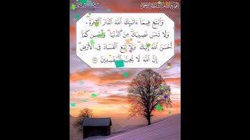 سورة القصص الآية ( 77 )