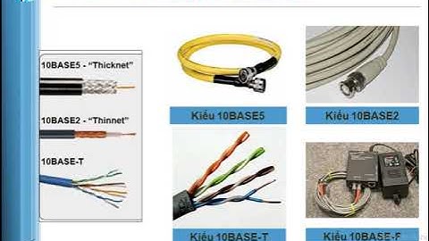 10base-t 100base-tx half or full dịch là gì năm 2024