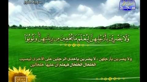 سورة النور 21 الى 52 ــ عبدالمنعم عبدالمبدئ