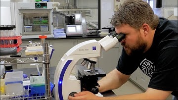 STBC Quality Assurance Video