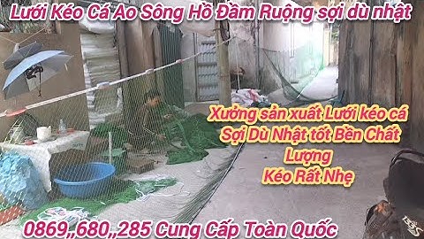 Lưới Kéo Cá Ao Sông Hồ Đầm Ruộng Lúa - Lưới Vét Dù Nhật - Lưới kéo Cá Sợi Dù Nhật Bản kéo cá ao sông