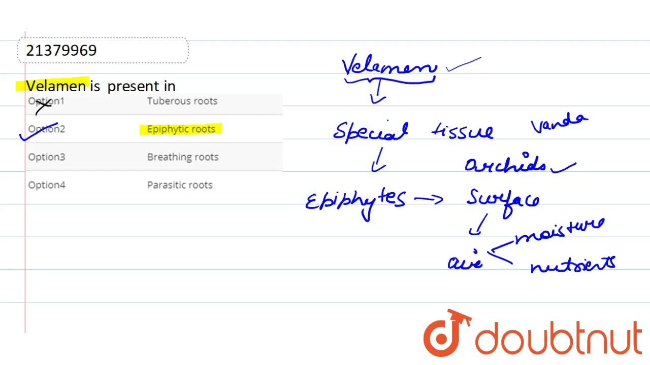 Velamen is present in  | 12 | ROOT | BIOLOGY | DINESH PUBLICATION | Doubtnut