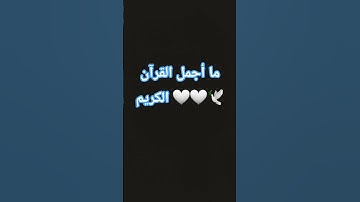 ياسر الدوسري سورة ( المؤمنون) 🤍🤍🕊 #اكسبلور #القزابري #لايك #المصحف #الرحمن #العظماء
