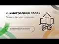 Богослужение 19.11.23 — Церковь «Виноградная лоза»