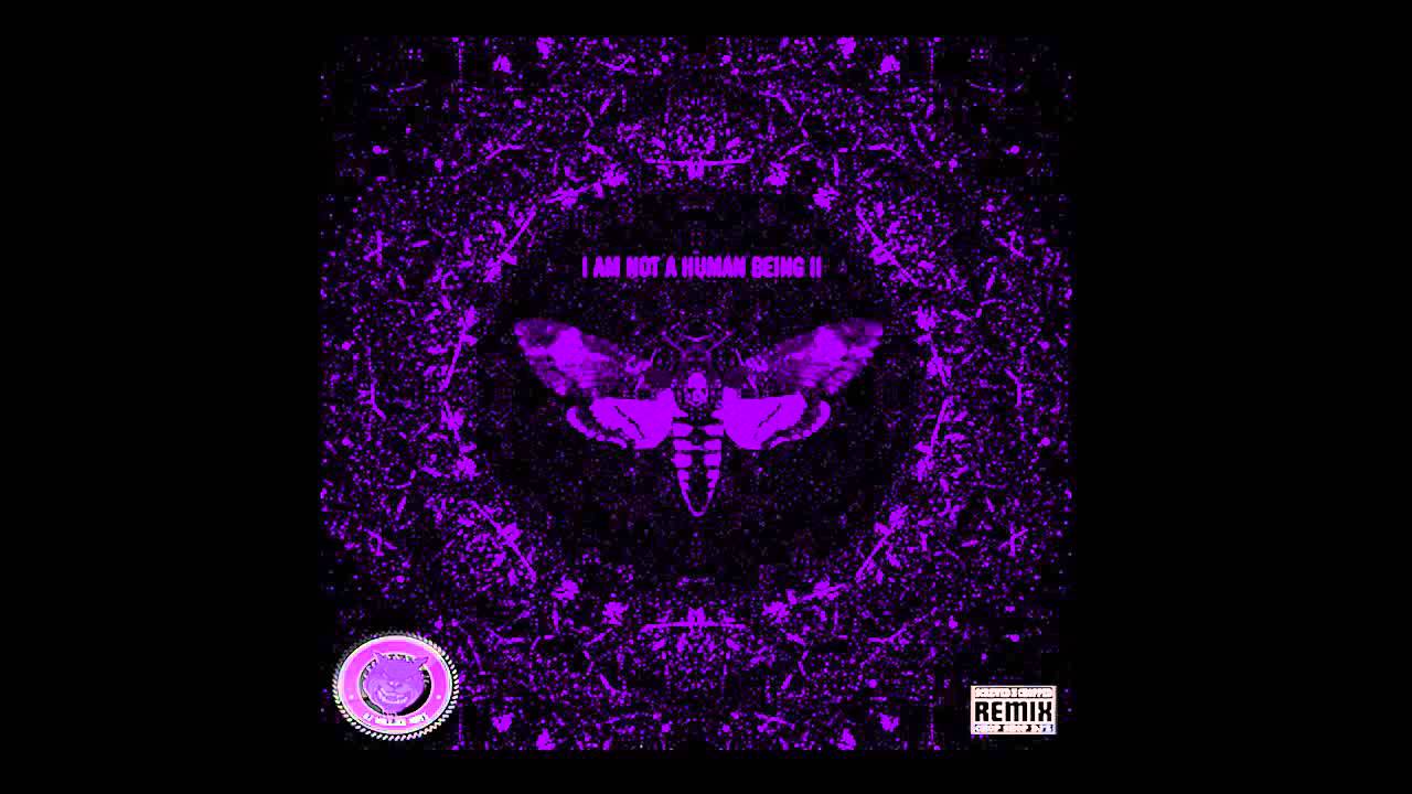 Lil Wayne - IANAHB Intro Screwed & Chopped - I Am Not A Human Being 2 (S & C) Mixtape