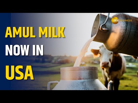 Amul Partners with Michigan Milk Producers Association to Launch Fresh Milk in America - ZEEBUSINESS