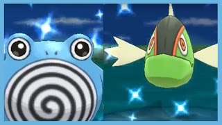 Shiny Chain Fishing - Poliwhirl & Basculin - The Road to Shiny Dratini