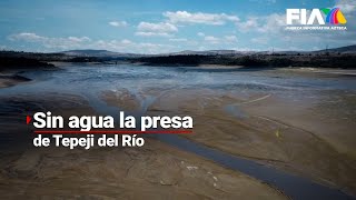 Tons of fish die at Tepeji del Río dam due to drought