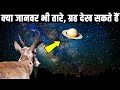 क्या जानवर भी तारों और ग्रहों को देख सकते हैं? Can other animals see space and the stars?