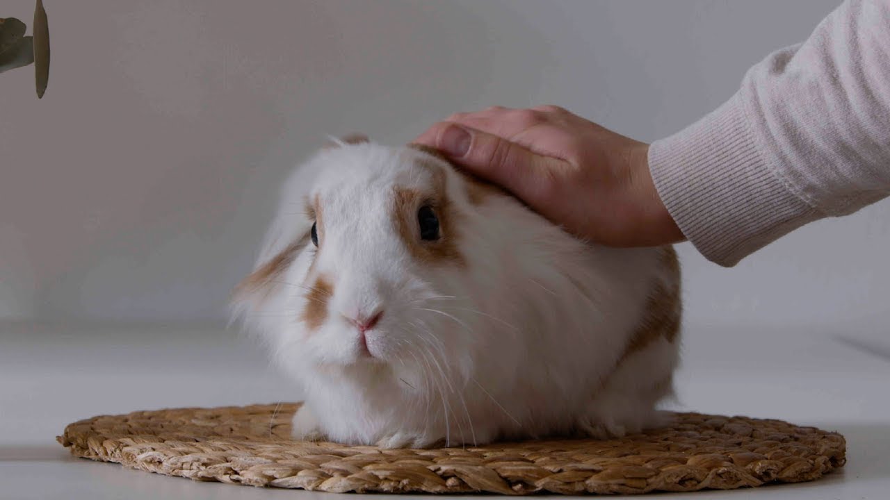 Deutsche Börse // Deutsche Börse Group in 120 Sekunden  // Imagefilm