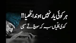 Har Koi Yaar Nai Honda Bullia Kalam Baba Bullaye Shahvoice For Rizwan