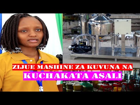 Video: Kuumwa Na Nyuki Kunaweza Kusababisha Hatari Za Kiafya Zinazotishia Maisha Kwa Wanyama Wa Kipenzi - Kinga Mnyama Wako Kutoka Kwa Nyuki Na Wadudu