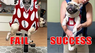 FINALLY I Can Trim My French Bulldog's Nails | Best Dog Nail Hack