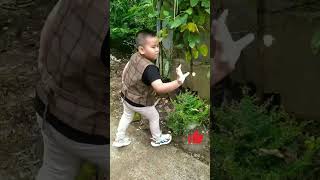 menangkap kupu kupu kecil warang kuning