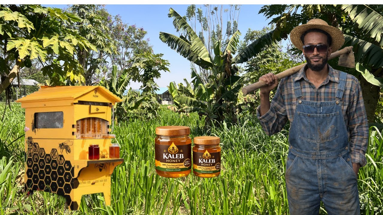 Our honey on the way / ማር በቅርቡ ጠብቁን